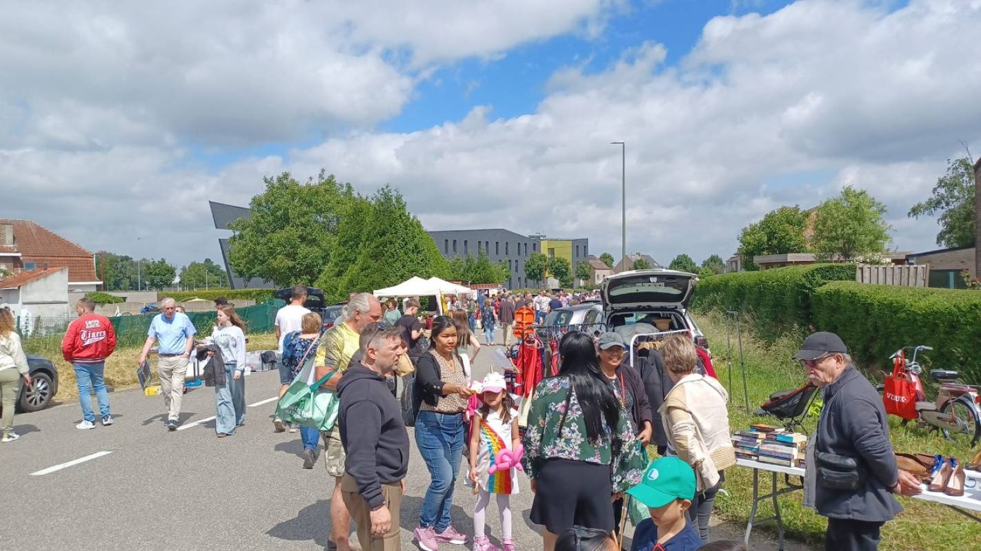 Editie 2024  21 - Reuze Rommelmarkt met Boeken-, Vinyl- en CD‑Beurs in Humelgem 